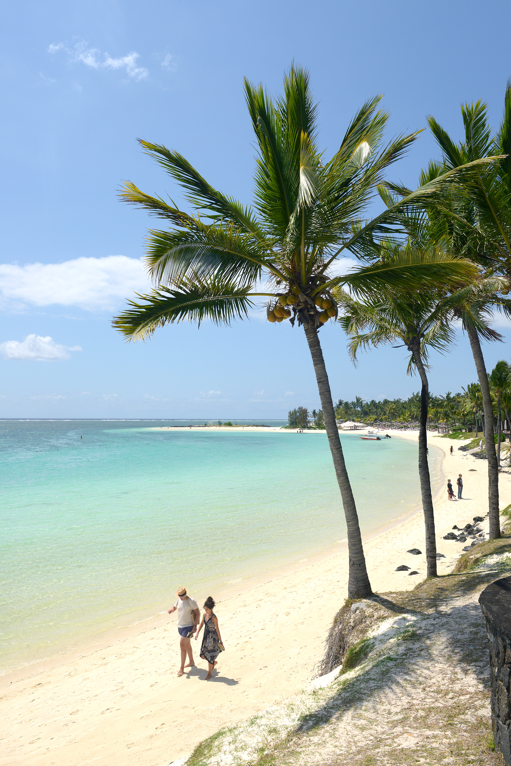 Mauritius, beach, palm tree